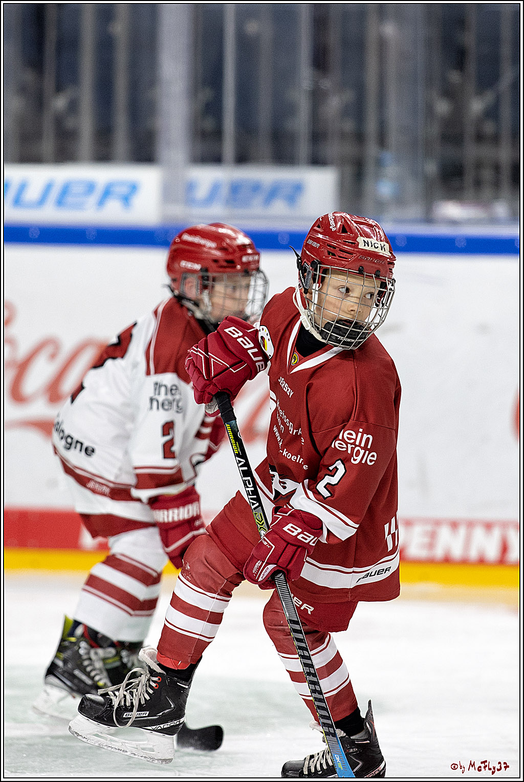 PENNY DEL;  Koelner Haie - Junghaie U9; Koeln, 18.03.2022